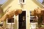 Blog from Roberts Cottage #20 Oceanside Beach Rental