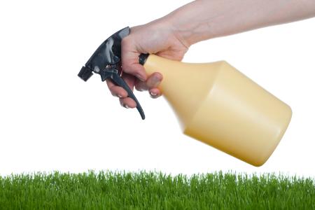 Lawrence Pest Control - Kansas City, MO 64102 - (913)677-3003 | ShowMeLocal.com