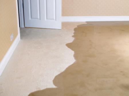 Santee Speedy Carpet Cleaners - Santee, CA 92071 - (619)821-2615 | ShowMeLocal.com