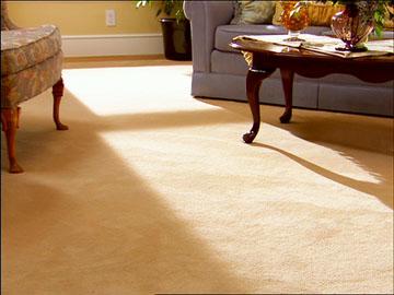 Sorrento Valley Speedy Carpet Cleaners - San Diego, CA 92121 - (858)207-6004 | ShowMeLocal.com