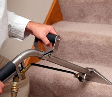 Manhattan Local Carpet Cleaners - New York, NY 10019 - (347)674-8184 | ShowMeLocal.com