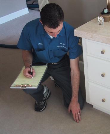 Manhattan Mobile Carpet Cleaners - New York, NY 10019 - (347)674-8551 | ShowMeLocal.com