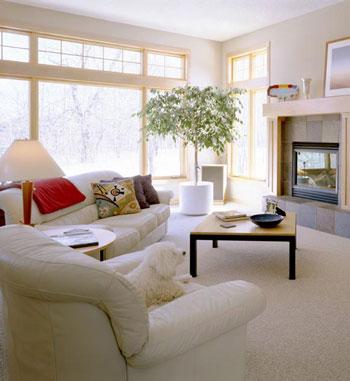 Torrance Carpet Cleaners Pro - Torrance, CA 90503 - (424)270-1290 | ShowMeLocal.com