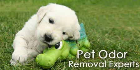 All Brite Service - Brooklyn, NY 11218 - (718)382-1234 | ShowMeLocal.com