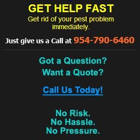 Best Lauderhill Pest & Termite - Lauderhill, FL 33311 - (954)790-6460 | ShowMeLocal.com