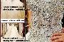 Yz Fashion & Bridal - Sun Valley, CA 91352 - (213)986-5869 | 