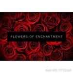 Flowers Of Enchantment - South Shields, Tyne and Wear NE34 0AR - 01914 558845 | ShowMeLocal.com