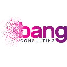 Bang Consulting Basingstoke 01256 831110
