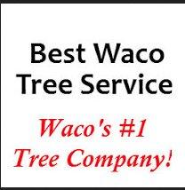 Best Waco Tree Service - Waco, TX 76712 - (254)791-5583 | ShowMeLocal.com
