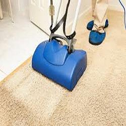 Miramar Carpet Cleaning Pros - Hollywood, FL 33027 - (954)951-5712 | ShowMeLocal.com
