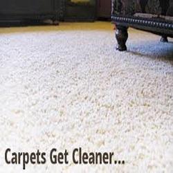 Oakland Park Carpet Cleaning Express - Fort Lauderdale, FL 33334 - (954)951-5783 | ShowMeLocal.com