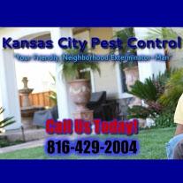 Kansas City Pest Control - Kansas City, MO 64113 - (816)429-2004 | ShowMeLocal.com