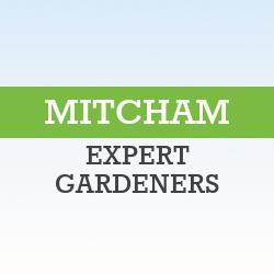 Mitcham Expert Gardeners Mitcham 020 3404 4240