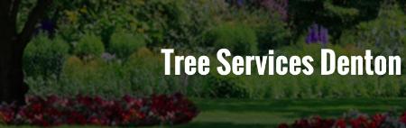 Tree Services of Denton - Denton, TX 76209 - (940)374-6021 | ShowMeLocal.com