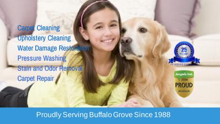 Dave's Carpet Cleaning Of Buffalo Grove - Buffalo Grove, IL 60089 - (847)220-6060 | ShowMeLocal.com