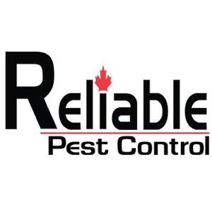 Reliable Pest Control - Pickering, ON L1W 3E6 - (905)634-7001 | ShowMeLocal.com