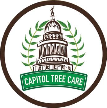 Capitol Tree Care - Austin, TX 78758 - (512)913-6833 | ShowMeLocal.com