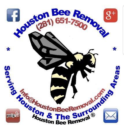 Houston Bee Removal - Spring, TX 77388-5719 - (281)651-7500 | ShowMeLocal.com