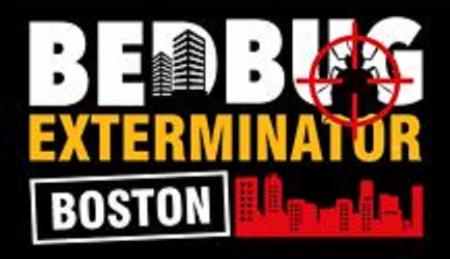 Bed Bug Exterminator Boston - Boston, MA 02121 - (617)302-8779 | ShowMeLocal.com