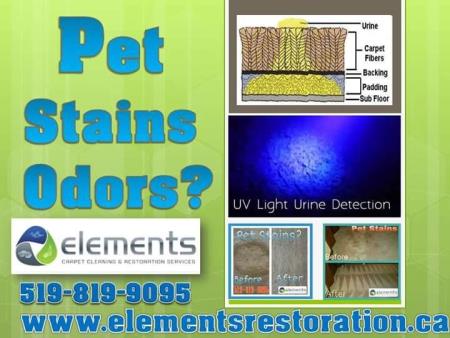 Elements Carpet Cleaning and restoration - Windsor, ON N9E 1L3 - (519)819-9095 | ShowMeLocal.com