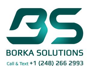 Borka Solutions Troy (248)266-2993