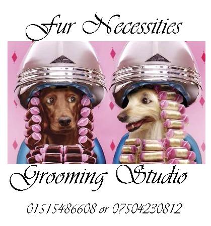 Fur Necessities Dog & Cat Grooming Studio - Liverpool, Merseyside L33 1EN - 01515 486608 | ShowMeLocal.com