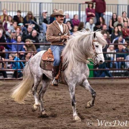 Horsemen's Western Dressage - Benton City, WA 99320 - (509)947-4125 | ShowMeLocal.com
