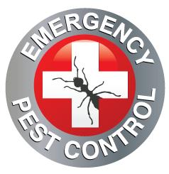 Emergency Pest Control Of New Rochelle - New Rochelle, NY 10801 - (914)233-3392 | ShowMeLocal.com