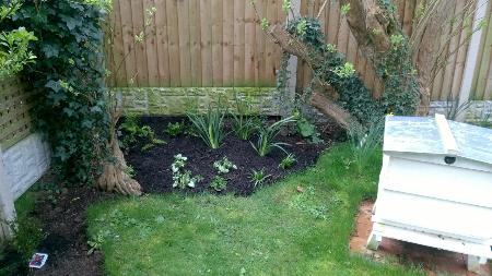 New shade border created for a client in Cotgrave. Compassionate Roots Nottingham 07951 716680