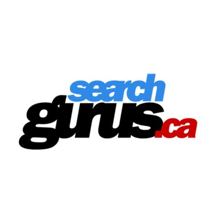 Mississauga SEO Company - Search Gurus Inc Search Gurus Inc Mississauga (289)277-1358