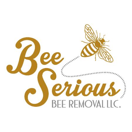 Bee Serious Bee Removal - Orlando, FL 32806 - (407)943-4515 | ShowMeLocal.com