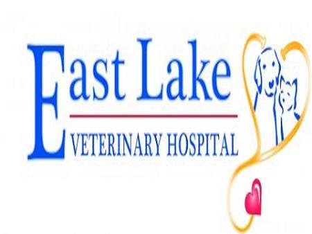East Lake Veterinary Hospital Mcdonough (770)914-0735