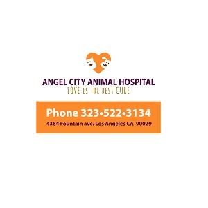 Angel City Animal Hospital - Los Angeles, CA 90029 - (323)522-3134 | ShowMeLocal.com