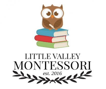 Little Valley Montessori School Richmond Hill (416)833-0272
