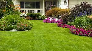 Best In Town Landscaping Syracuse - Syracuse, NY 13206 - (315)217-6220 | ShowMeLocal.com