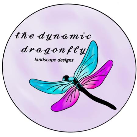 The Dynamic Dragonfly, LLC Stony Point (828)502-0081