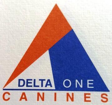 Delta One Canines Coventry 07966 535854