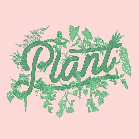 Plant By Packwood - Fitzroy, VIC 3065 - 0403 362 358 | ShowMeLocal.com
