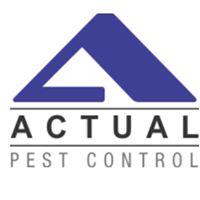 Actual Pest Control Scarborough (647)968-5258