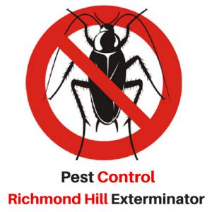 Pest Control Richmond Hill Exterminator - Richmond Hill, ON L4C 0A8 - (647)559-3820 | ShowMeLocal.com