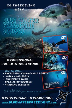Blue Water Freediving School - Ware, Hertfordshire SG12 9HP - 07985 792442 | ShowMeLocal.com