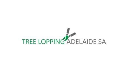 Tree Lopping Adelaide Adelaide (08) 7078 5006