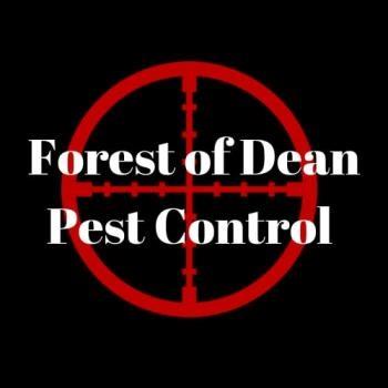 Forest Of Dean Pest Control - Lydney, Gloucestershire GL15 6HQ - 07842 822522 | ShowMeLocal.com