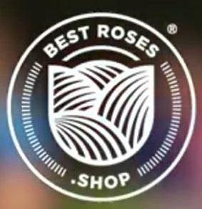 Best Roses Shop - Pembroke Pines, FL 33028 - (305)964-6877 | ShowMeLocal.com