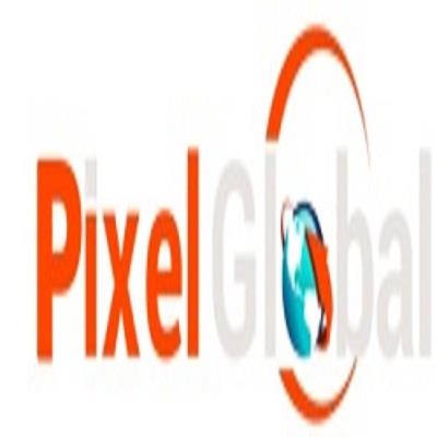 Pixel Global It Miami (805)518-8963