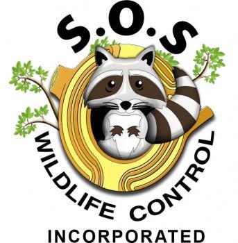 SOS Wildlife Control - Toronto, ON M6H 1M5 - (647)361-5166 | ShowMeLocal.com