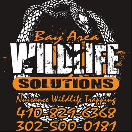 Bay Area Wildlife Solutions - Seaford, DE 19973 - (410)829-6368 | ShowMeLocal.com