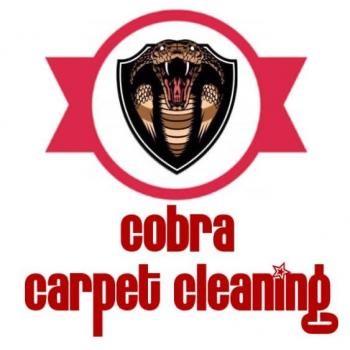 Cobra Cleaning Reading 01184 492497