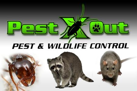 Houston Pest X Out - Houston, TX - (832)799-8077 | ShowMeLocal.com