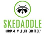 Skedaddle Humane Wildlife Control Kitchener/Waterloo - Cambridge, ON N1T 1M3 - (519)658-4400 | ShowMeLocal.com